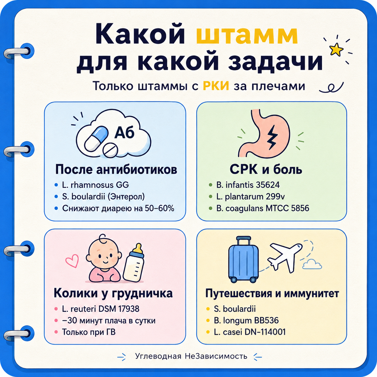 Инфографика: Пробиотики: что внутри банки и что реально работает