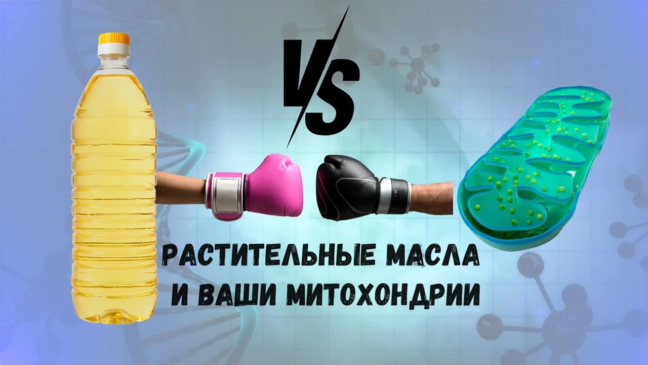 РАСТИТЕЛЬНЫЕ МАСЛА И ВАШИ МИТОХОНДРИИ