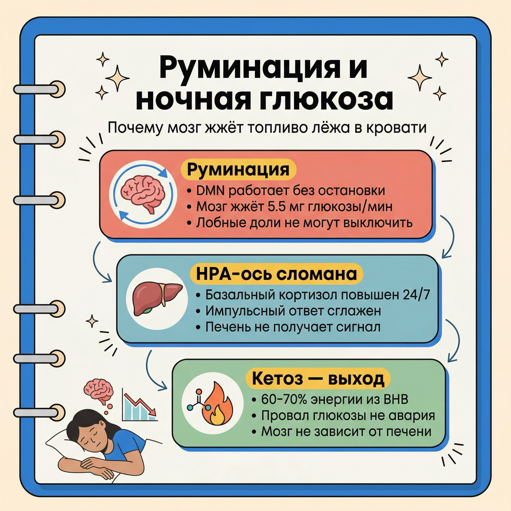 Инфографика: Мысленная жвачка, глюконеогенез и ночные провалы: что на самом деле происходит в мозге при руминации
