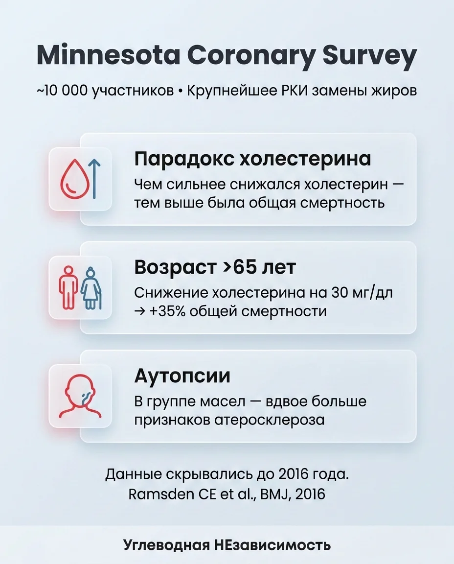 Инфографика: Растительные масла снижают холестерин — но повышают смертность