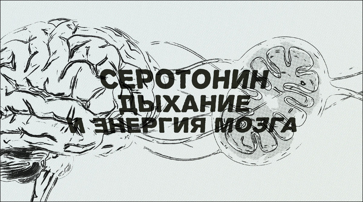 Серотонин, дыхание и энергия мозга