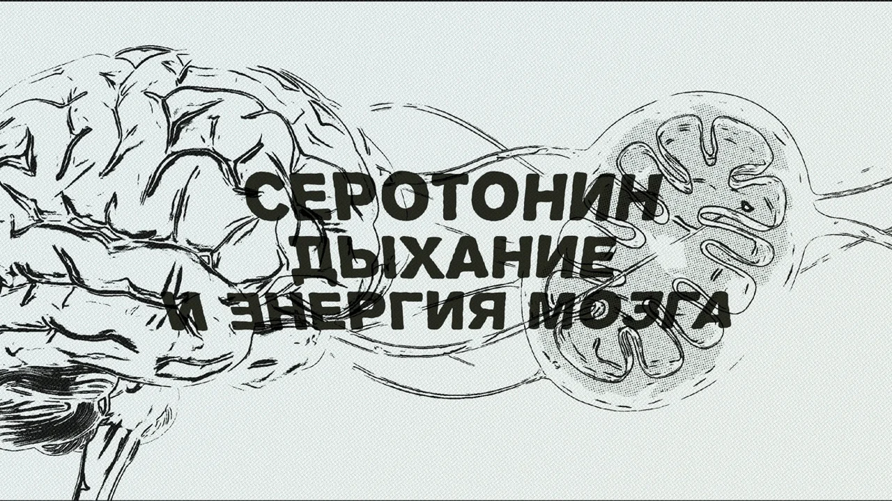 Серотонин, дыхание и энергия мозга