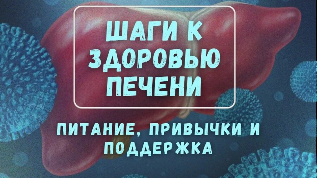 Шаги к здоровью печени: питание, привычки и поддержка