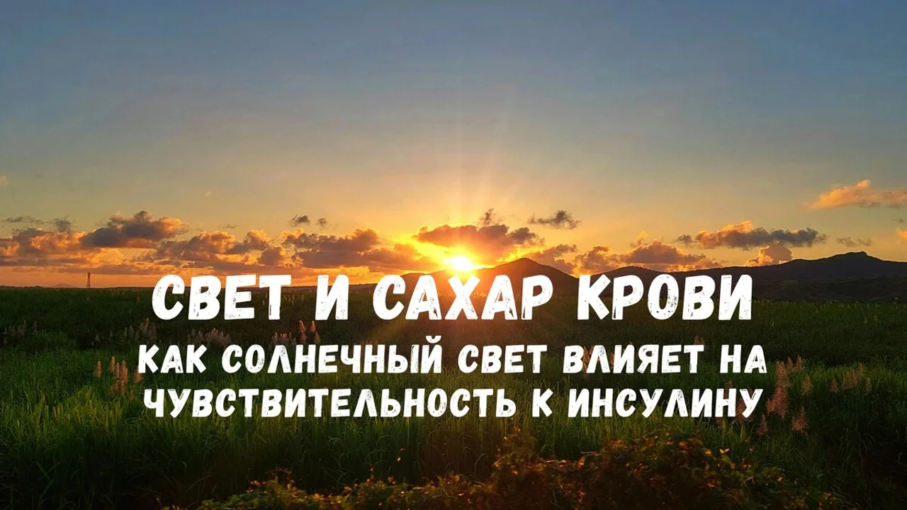 Солнце, свет и сахар крови