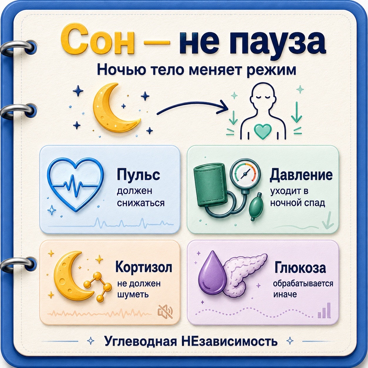 Сон — не пауза: ночью тело меняет режим