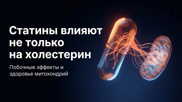 Статины бьют не только по холестерину — вот что ещё страдает