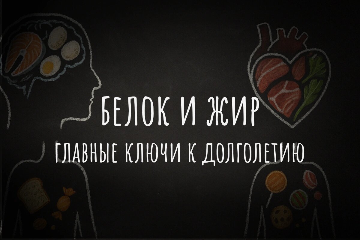 Строительные блоки здоровья: почему животные продукты незаменимы