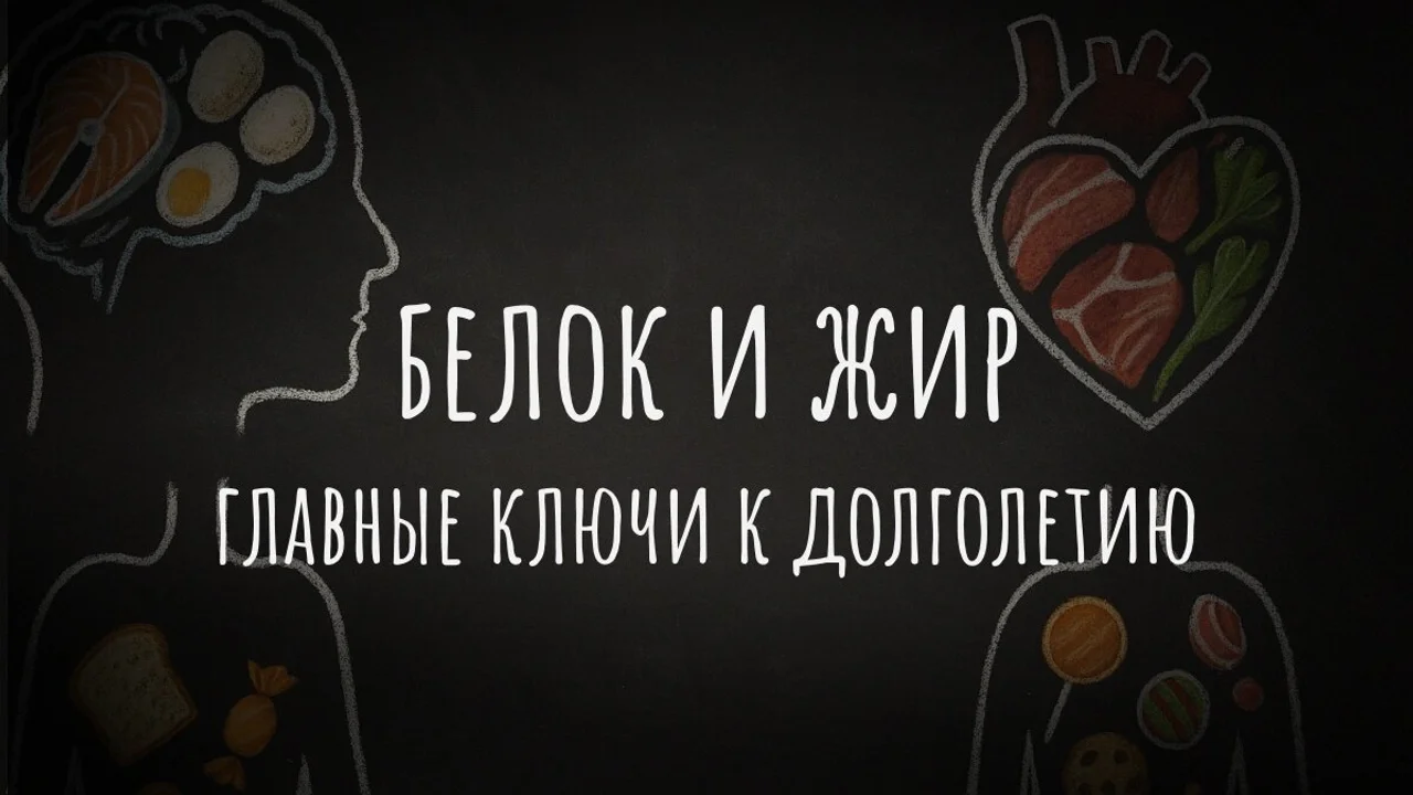 Строительные блоки здоровья: почему животные продукты незаменимы
