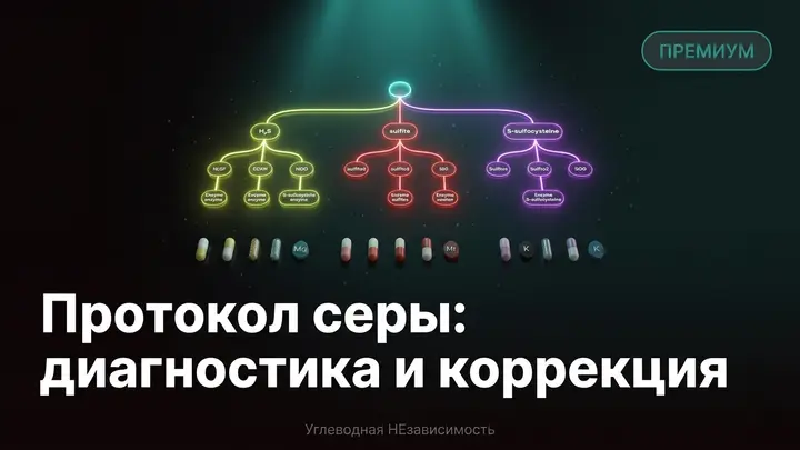 Протокол серы: диагностика и коррекция шаг за шагом
