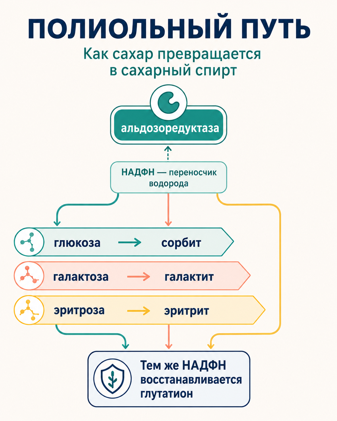 Полиольный путь