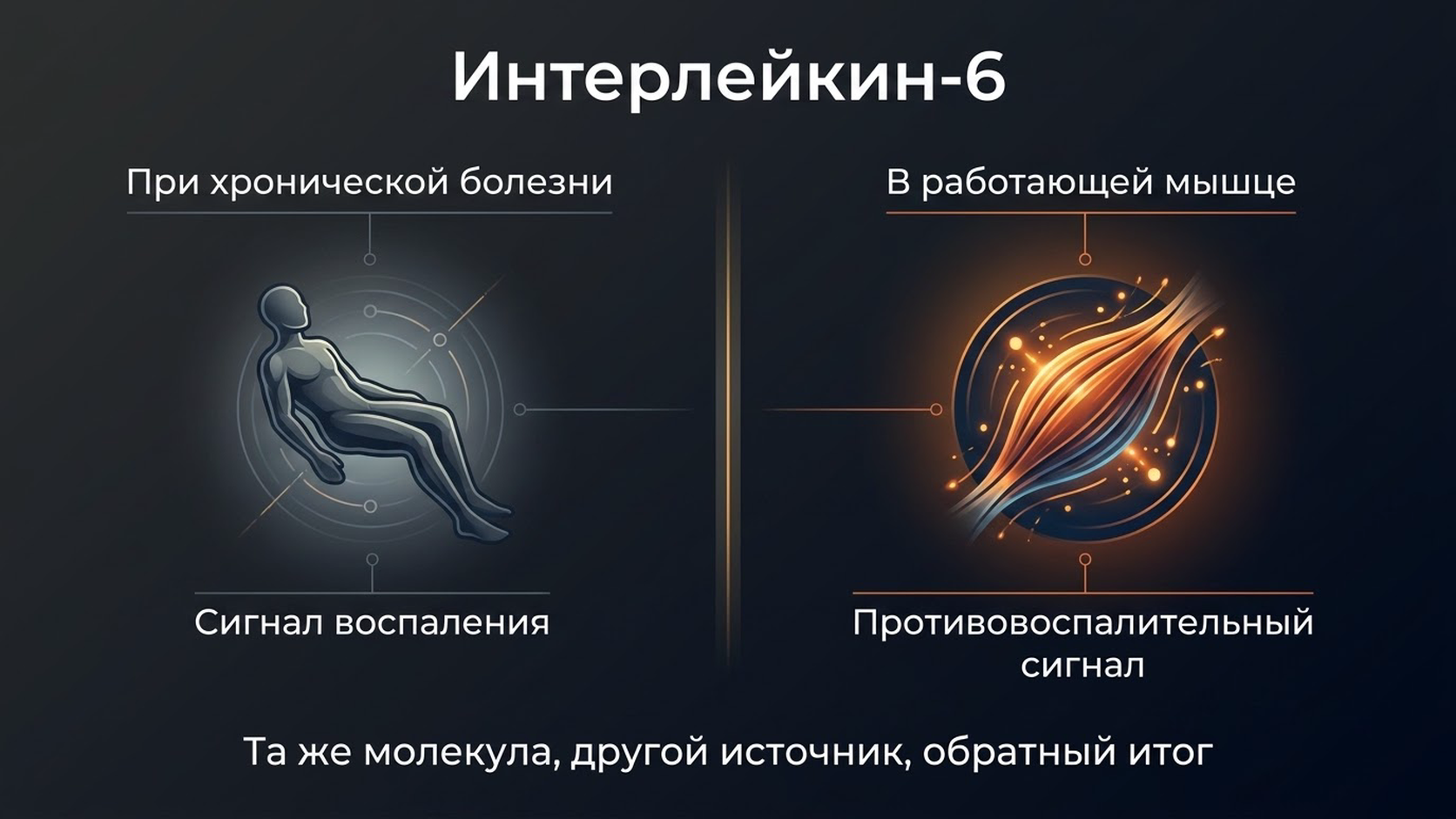 Интерлейкин-6: одна молекула, два противоположных смысла