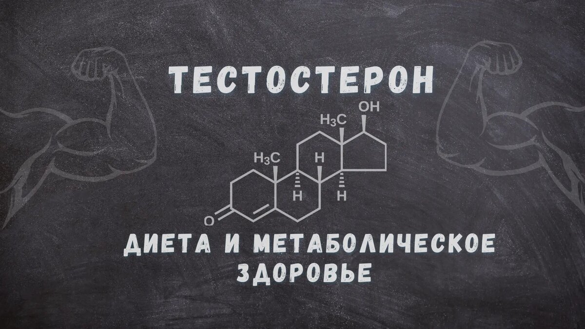 Тестостерон, диета и метаболическое здоровье