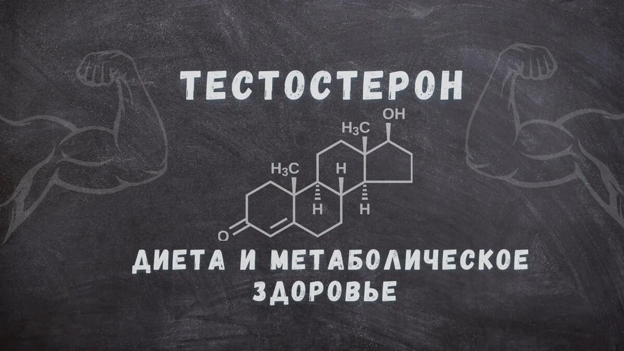 Тестостерон, диета и метаболическое здоровье