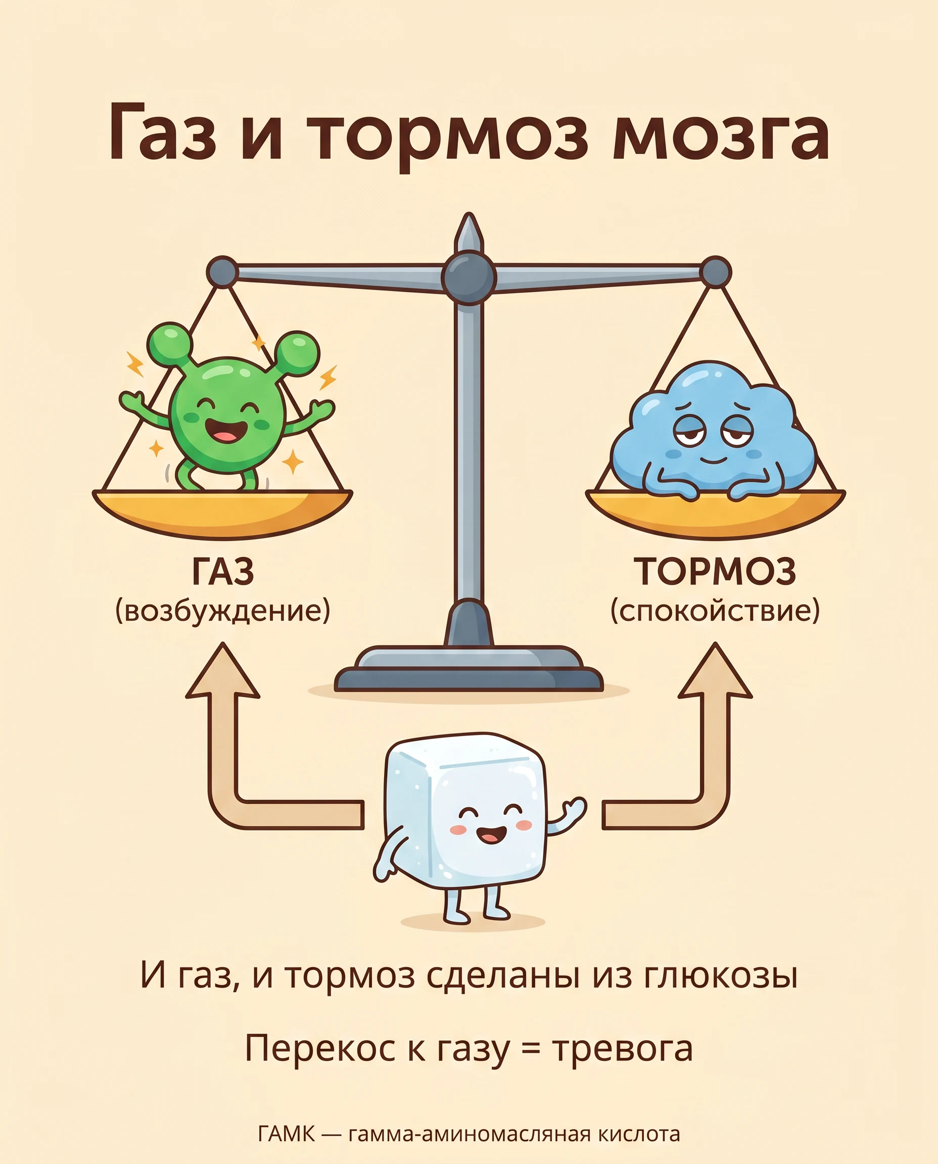 Газ и тормоз мозга: глутамат и ГАМК сделаны из глюкозы