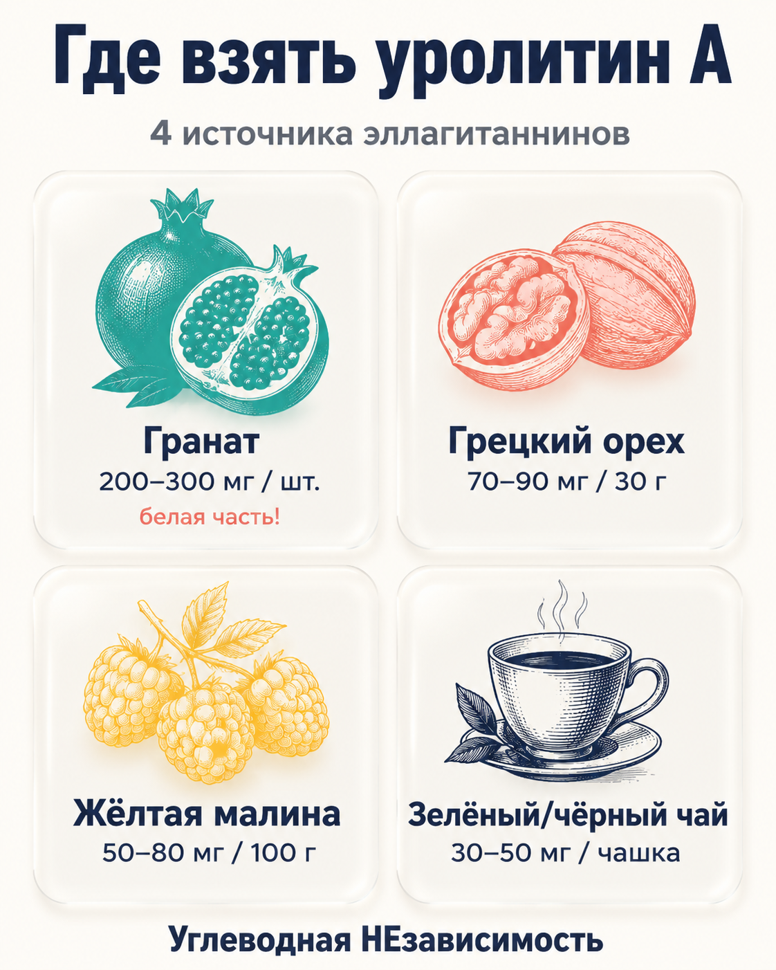 Источники эллагитаннинов и порции