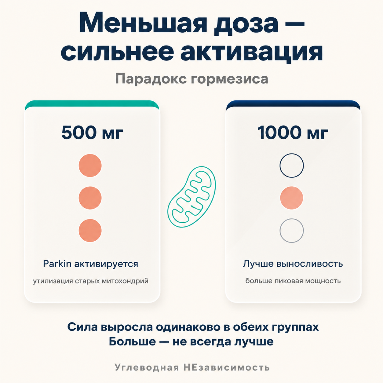 Парадокс гормезиса: меньшая доза сильнее активирует Parkin