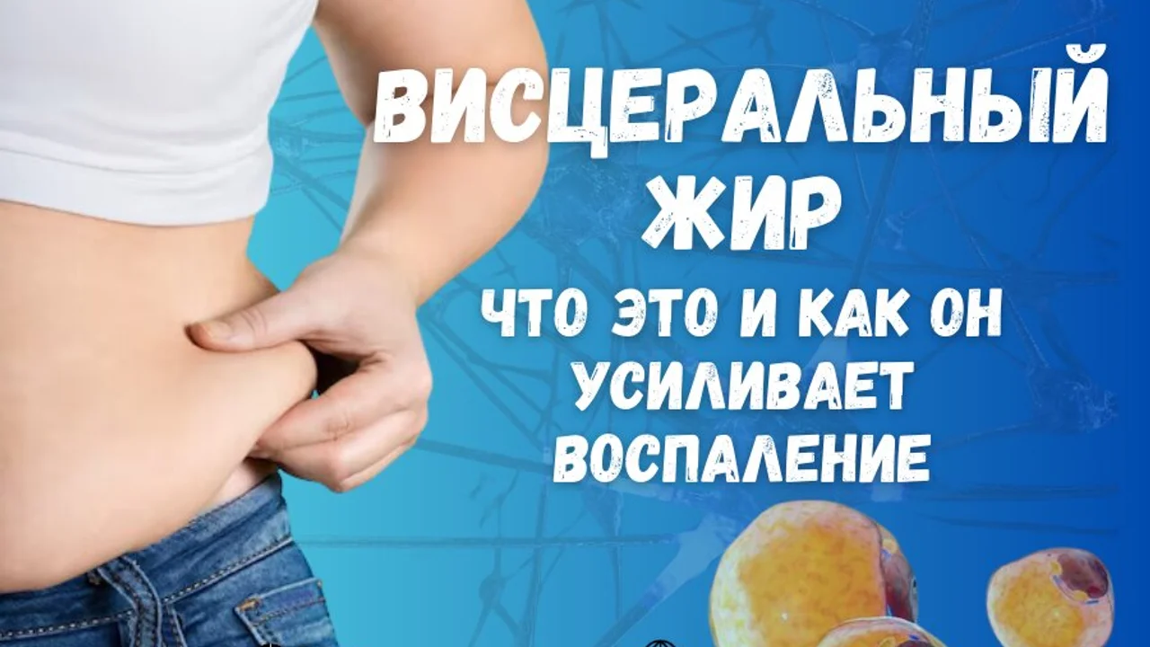 Висцеральный жир: что это такое и как он усиливает воспаление