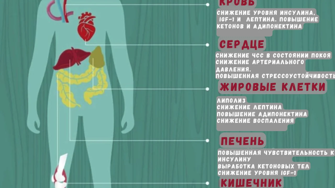 ВЛИЯНИЕ ИНТЕРВАЛЬНОГО ГОЛОДАНИЯ НА ТЕЛО И МОЗГ, КОТОРЫЕ МОГУТ ПРЕДОТВРАТИТЬ ОЖИРЕНИЕ И ХРОНИЧЕСКИЕ ЗАБОЛЕВАНИЯ