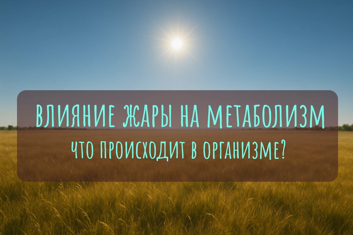 Влияние жары на метаболизм: что происходит в организме?