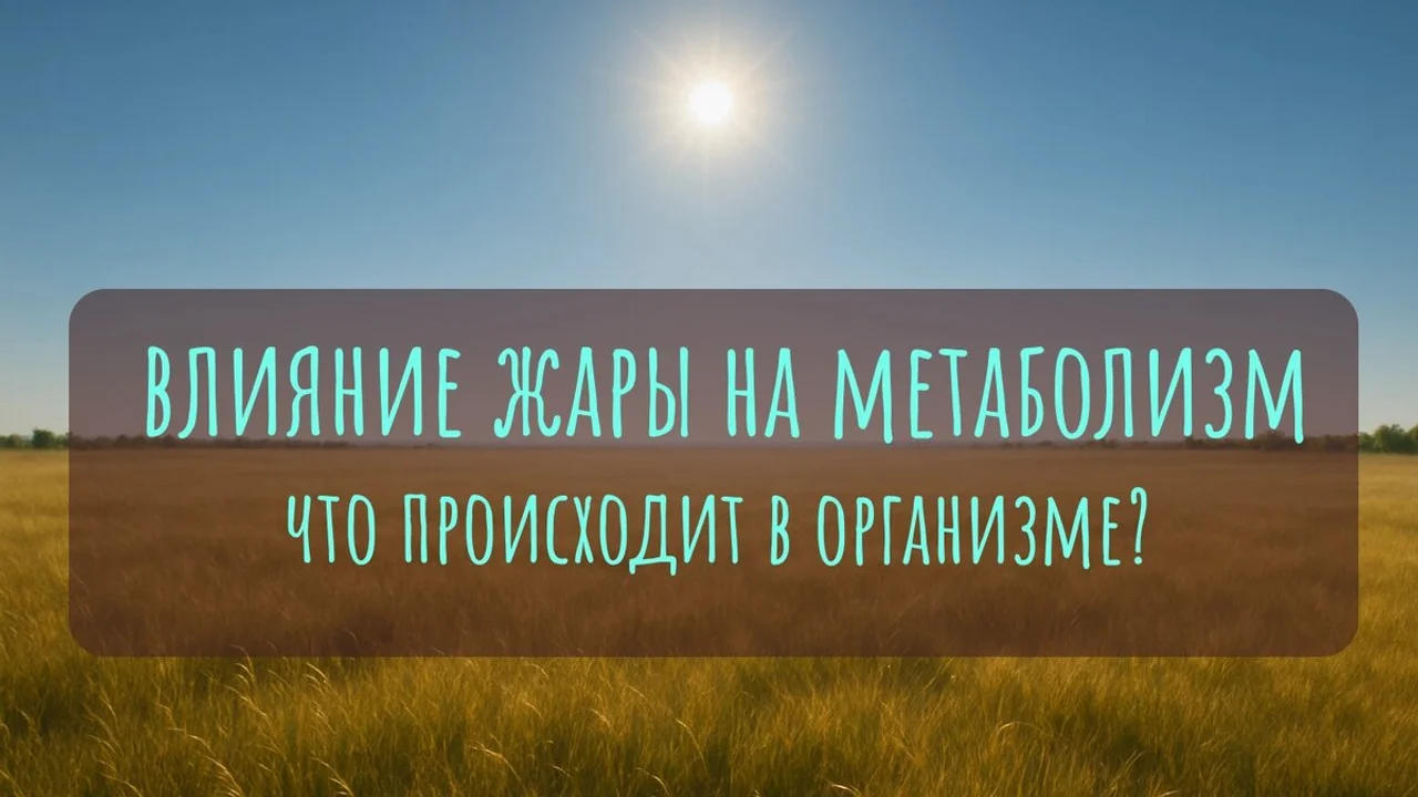 Влияние жары на метаболизм: что происходит в организме?