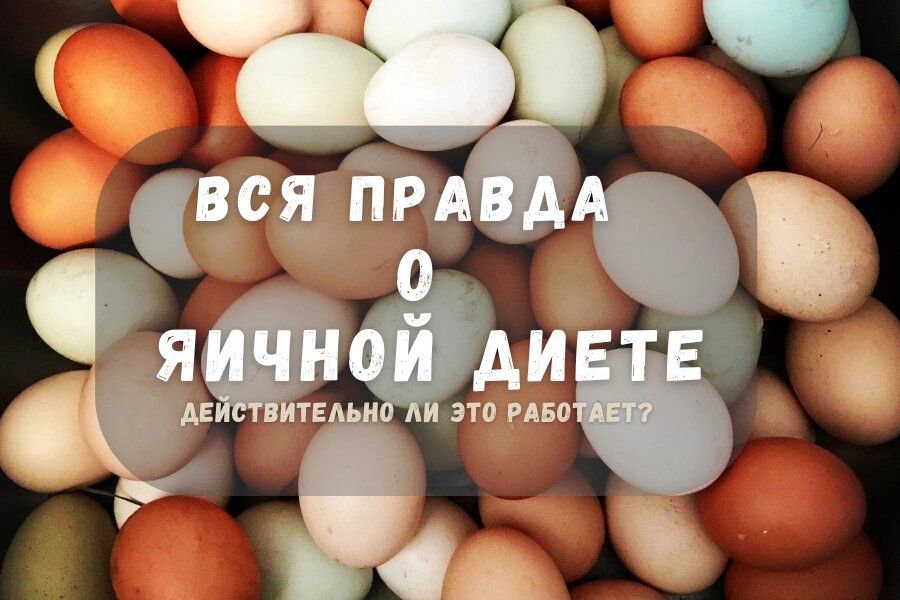 Вся правда о яичной диете