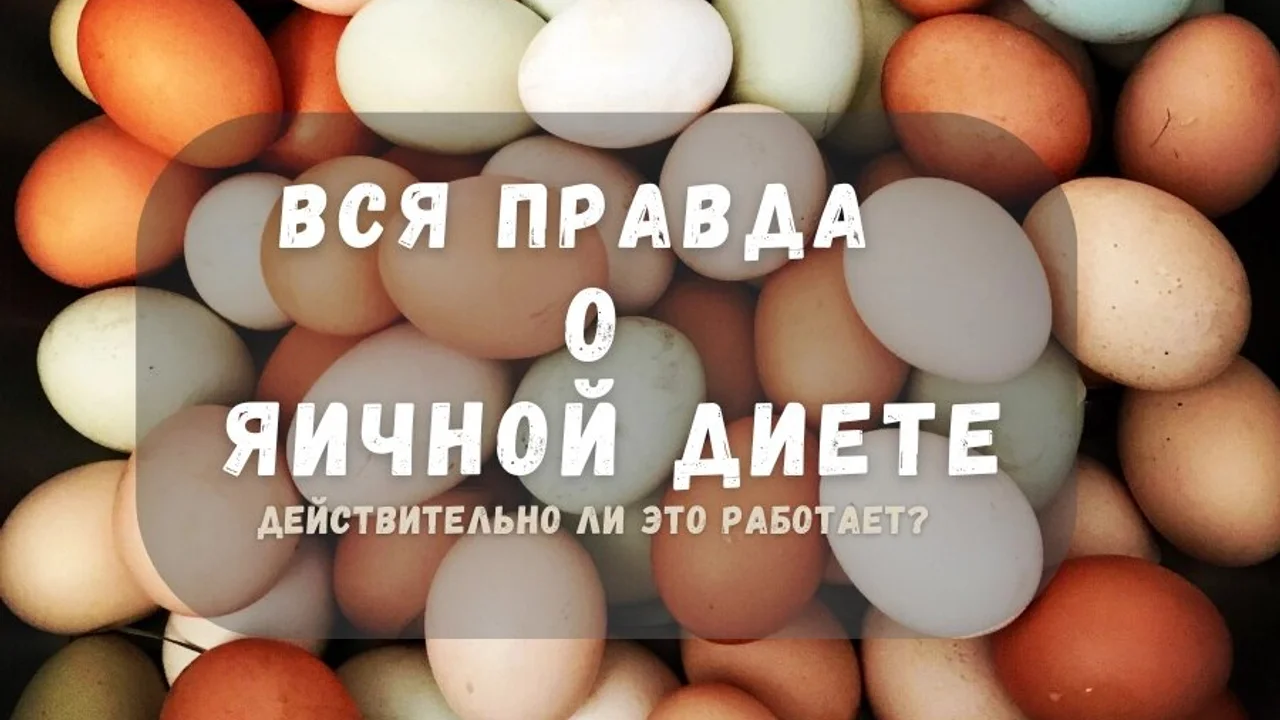 Вся правда о яичной диете