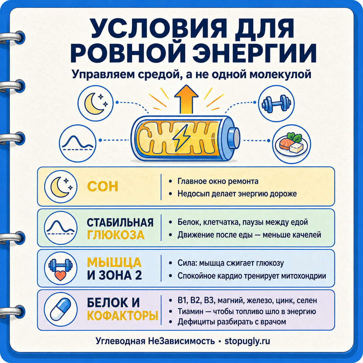 Условия для ровной энергии: сон, стабильная глюкоза, мышца и зона 2, белок и кофакторы — мы управляем средой, а не одной молекулой